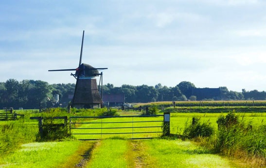 AVL Amsterdam